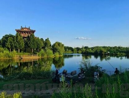 中超足球比分榜-中超足球比分榜，绿茵场上的风云变幻与数据背后的故事